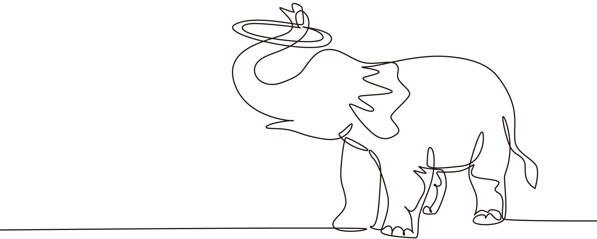 悠田景士　プロフィール